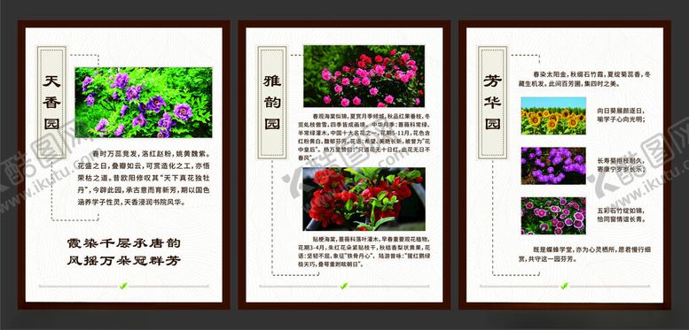 编号：69193201042219098175【酷图网】源文件下载-花卉摄影作品展示页面