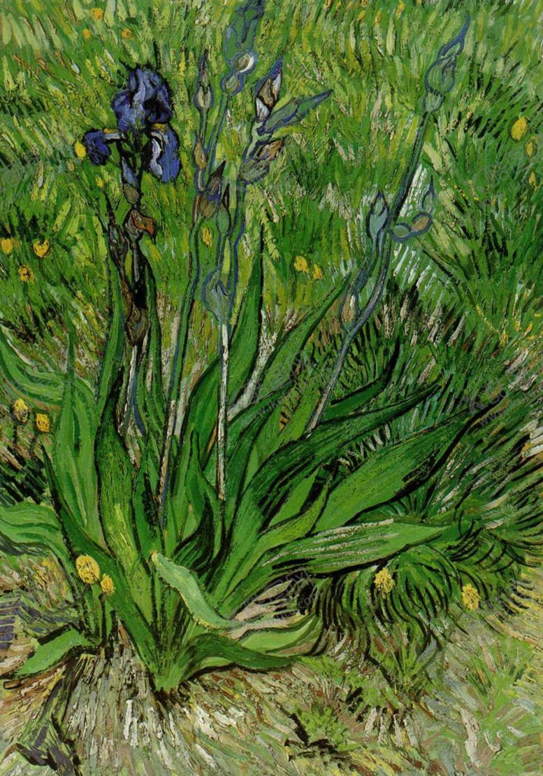 编号：82509909212331396632【酷图网】源文件下载-梵高作品