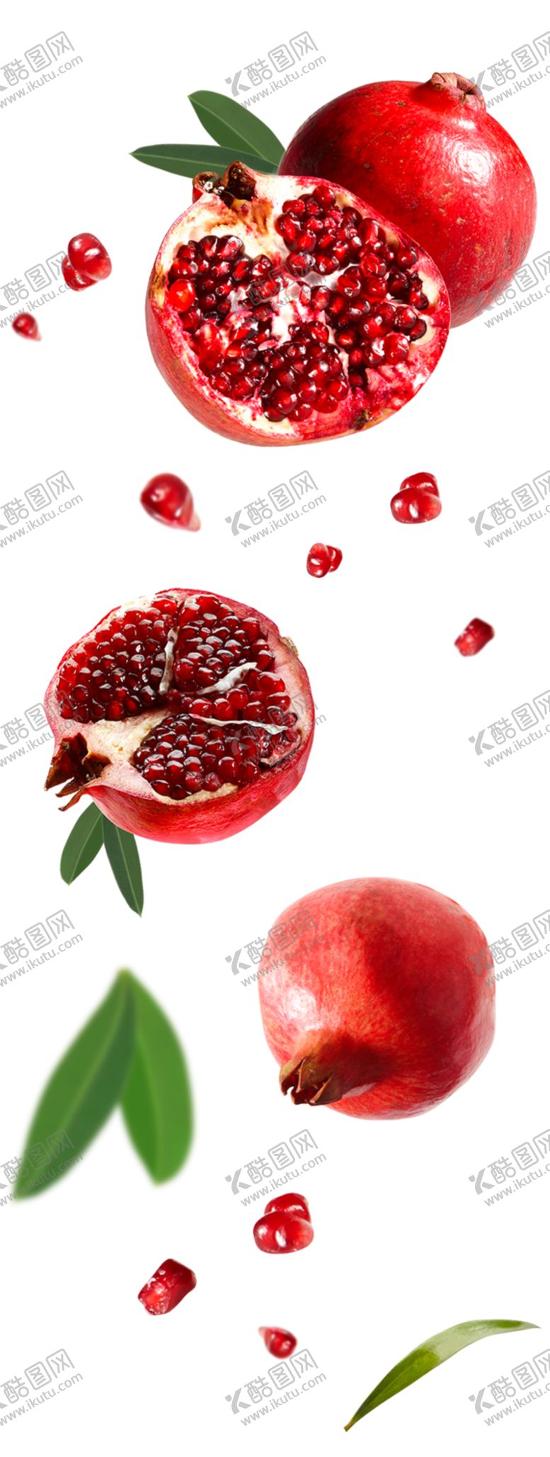 编号：29140210202225225358【酷图网】源文件下载-石榴