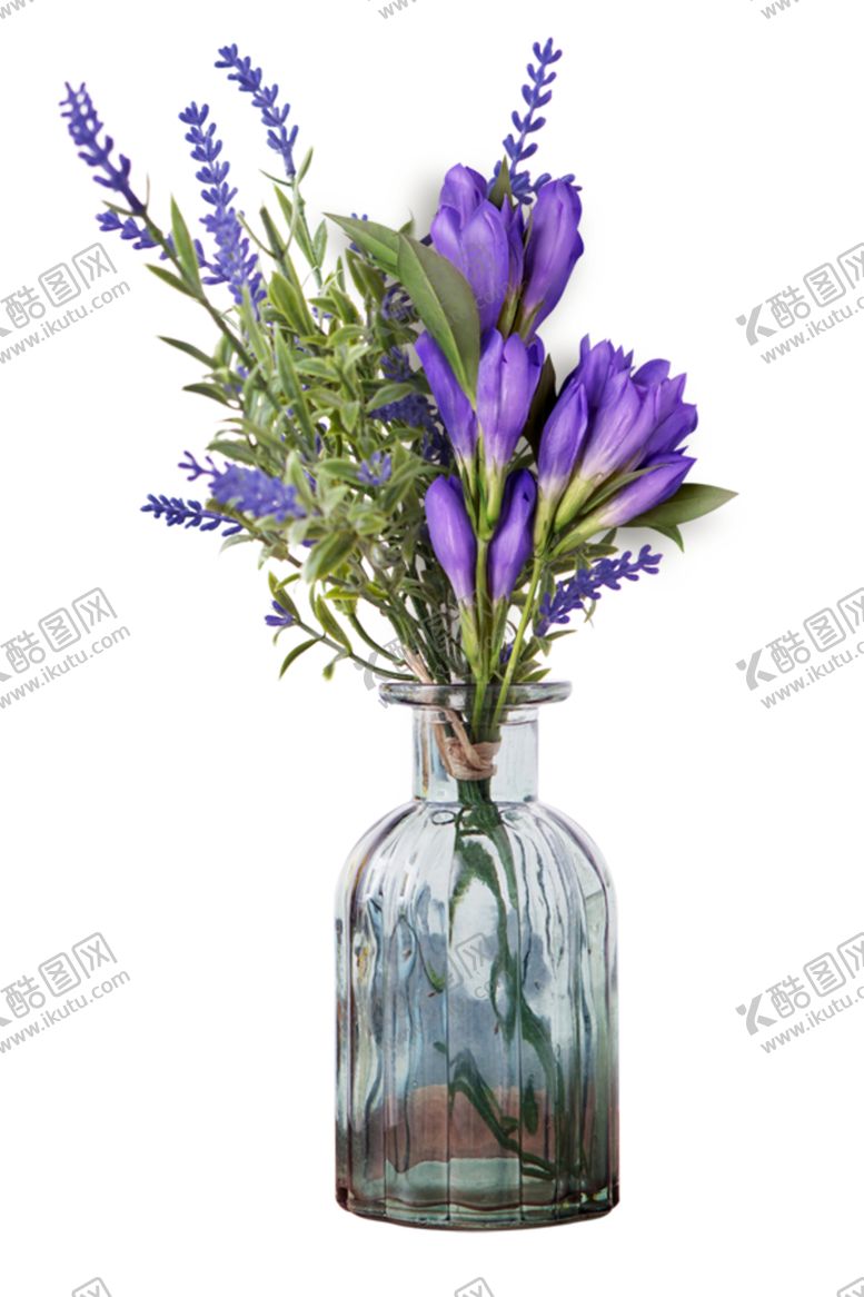 编号：37719003272326416894【酷图网】源文件下载-春季鲜花花朵
