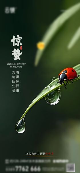 惊蛰节气海报房地产瓢虫水滴二十四