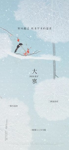 大寒节气创意餐饮海报