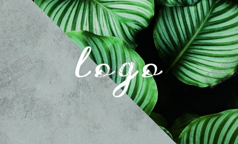 编号：91002810301620382924【酷图网】源文件下载-清新名片