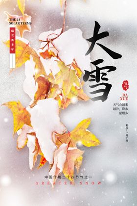 大雪图片