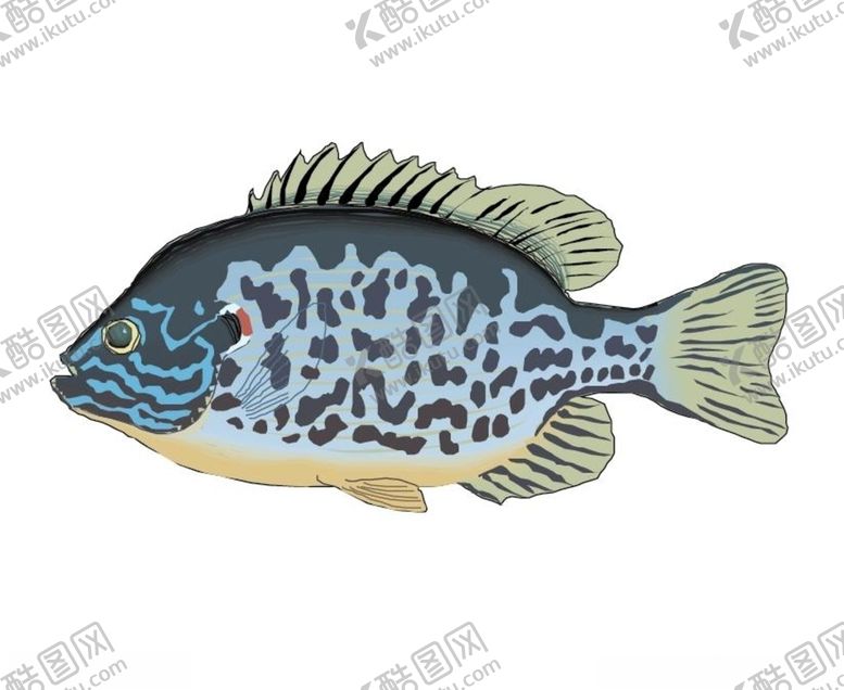 编号：74098909270449021129【酷图网】源文件下载-大鱼