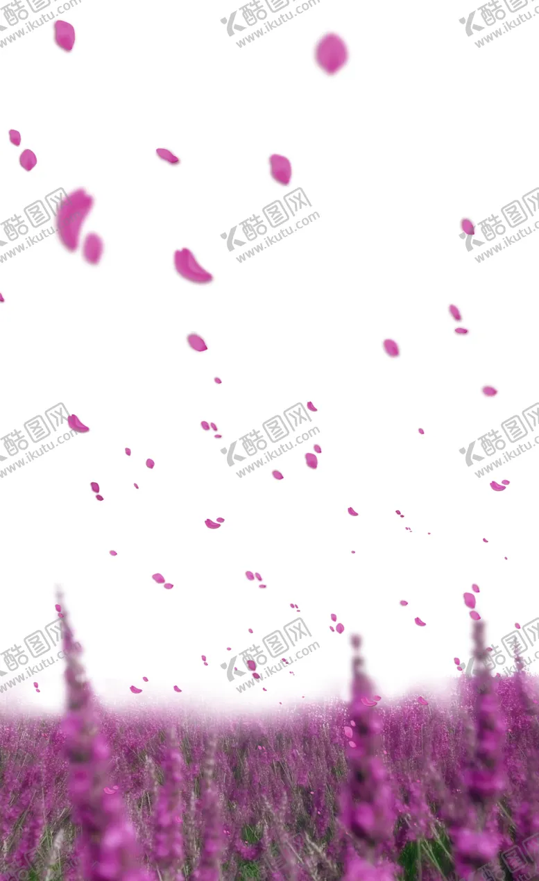 编号：11120505092051354071【酷图网】源文件下载-飘落的花瓣