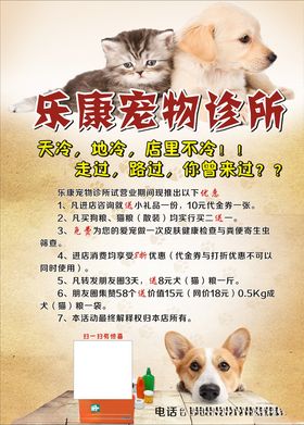 宠物诊所活动