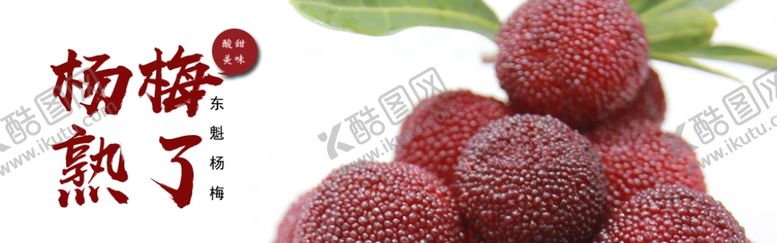 编号：84398611010233551811【酷图网】源文件下载-杨梅