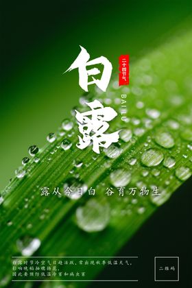 白露白露微信稿白露转发图