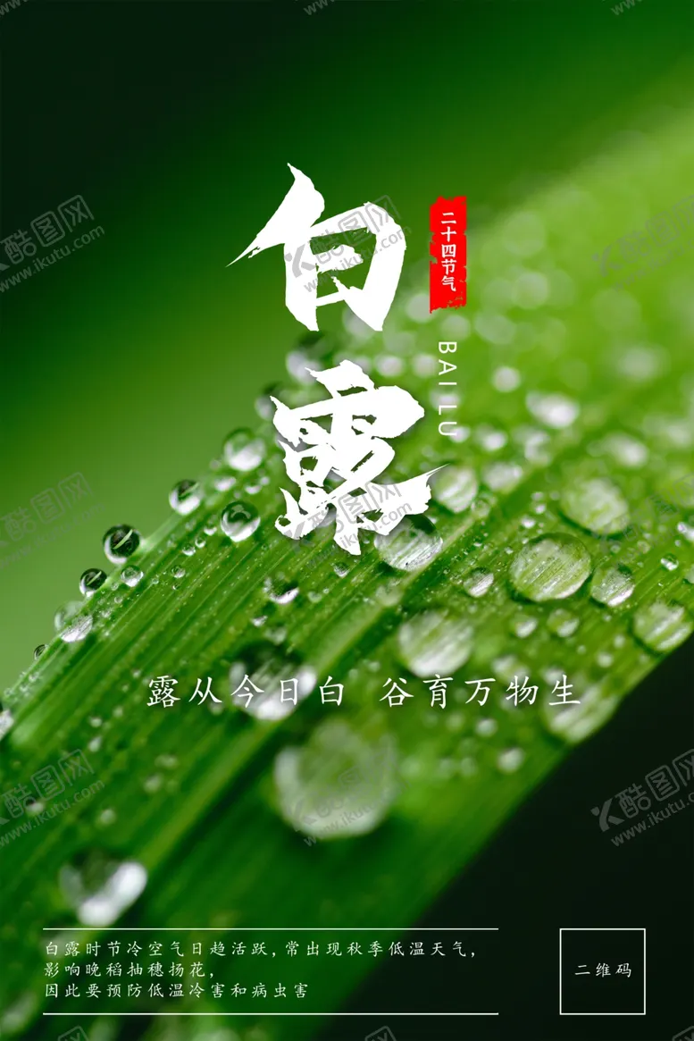编号：53500607011538411019【酷图网】源文件下载-白露节气微信稿
