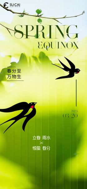 春分节气移动端海报天二十四燕子