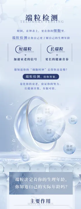 瑞粒检测长图海报