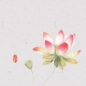 圆形荷花