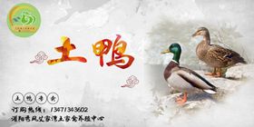 土鸭海报