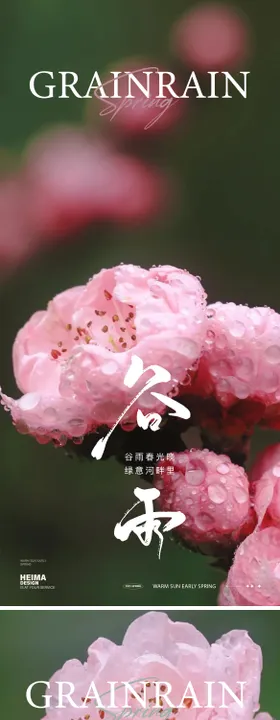 谷雨节气海报