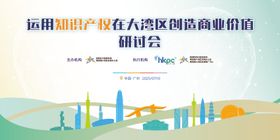 大湾区会议背景版