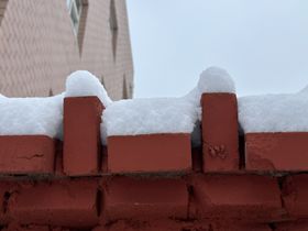 雪中林海风景