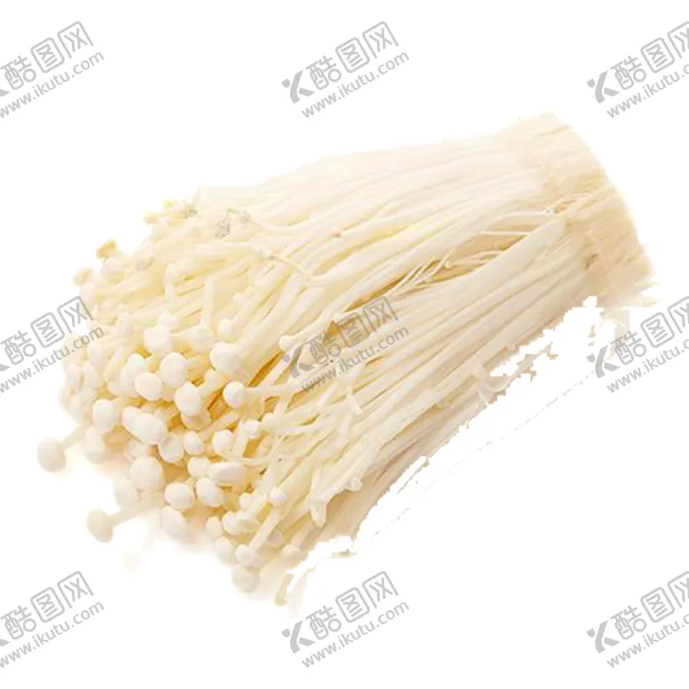 编号：67172305031615574319【酷图网】源文件下载-金针菇