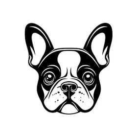 矢量卡通斗牛犬