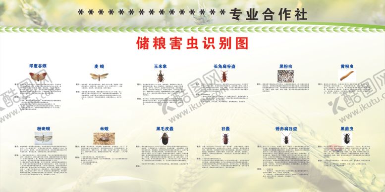 编号：50565205182358088367【酷图网】源文件下载-粮食害虫展板
