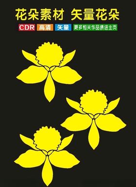 小花插花粉色花朵盆栽植物小草鲜