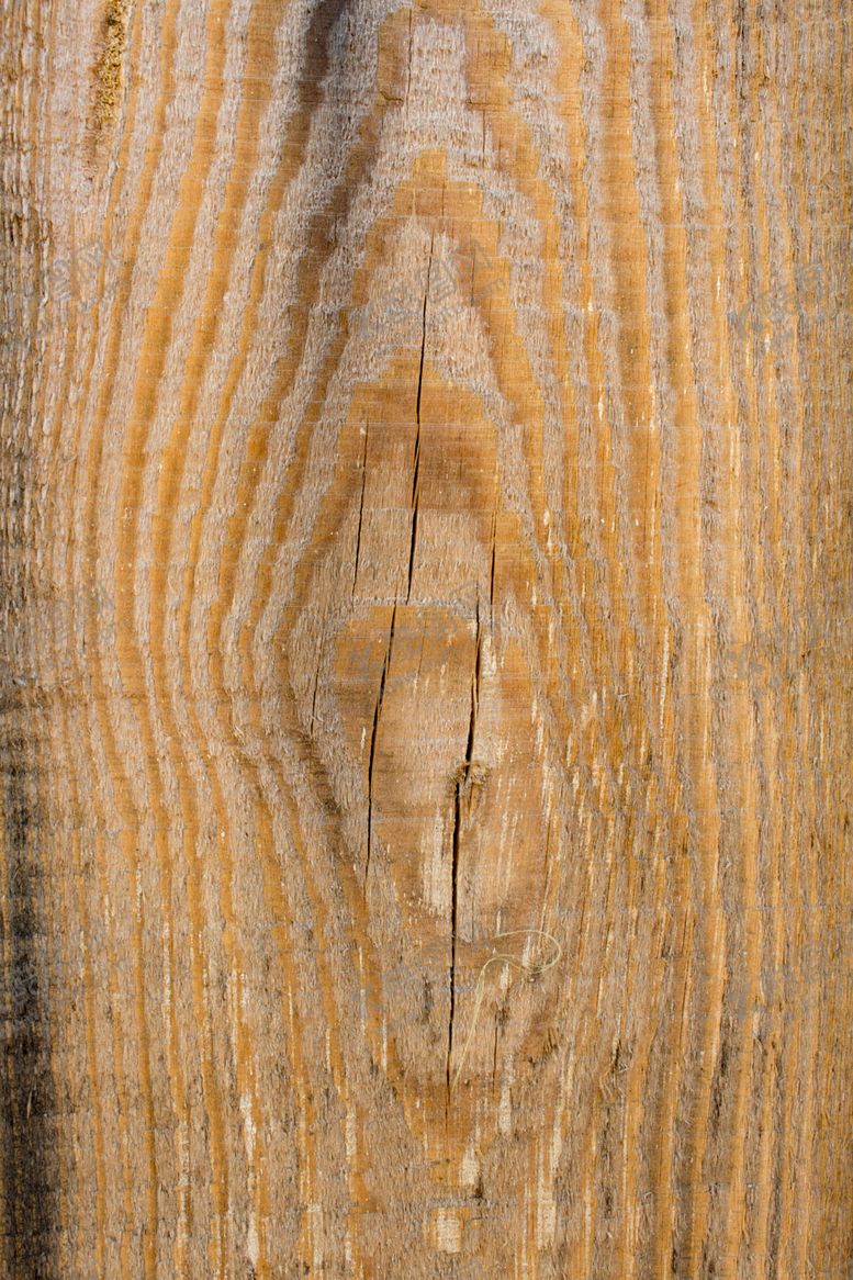 编号：88830710010523565992【酷图网】源文件下载-树皮