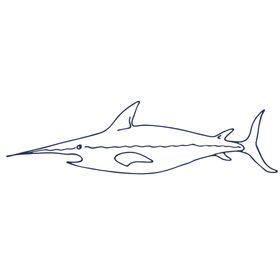 手绘海洋生物
