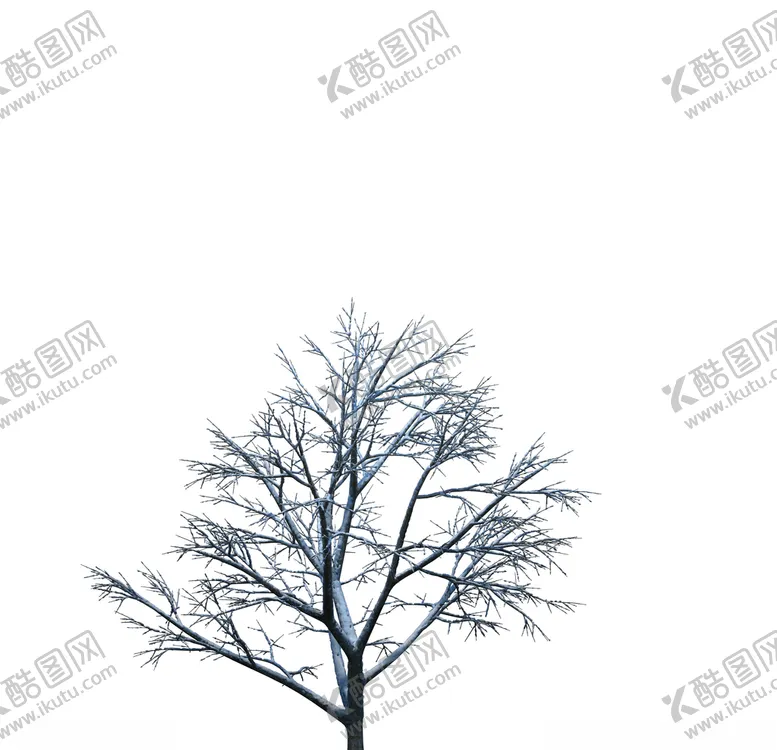 编号：98567607092030184893【酷图网】源文件下载-树木
