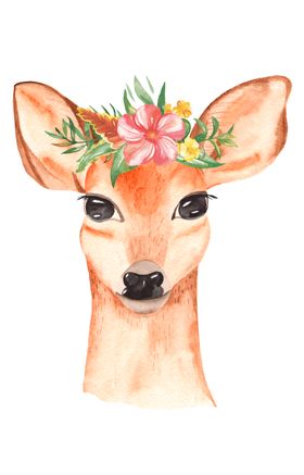 水彩卡通动物插画