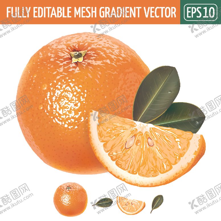 编号：81471009191437312861【酷图网】源文件下载-橙子