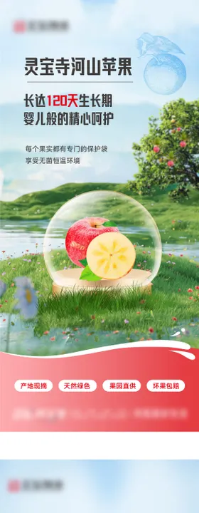 电商养生系列海报