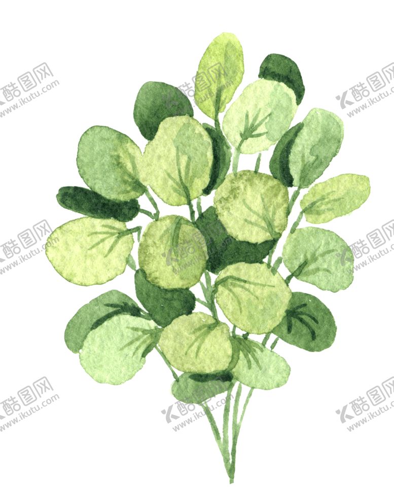 编号：31635907020001119514【酷图网】源文件下载-绿色家庭植物