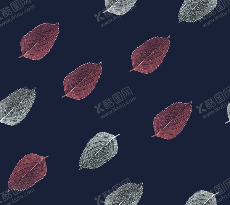 编号：12698504140825437378【酷图网】源文件下载-叶子
