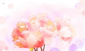 手绘樱花