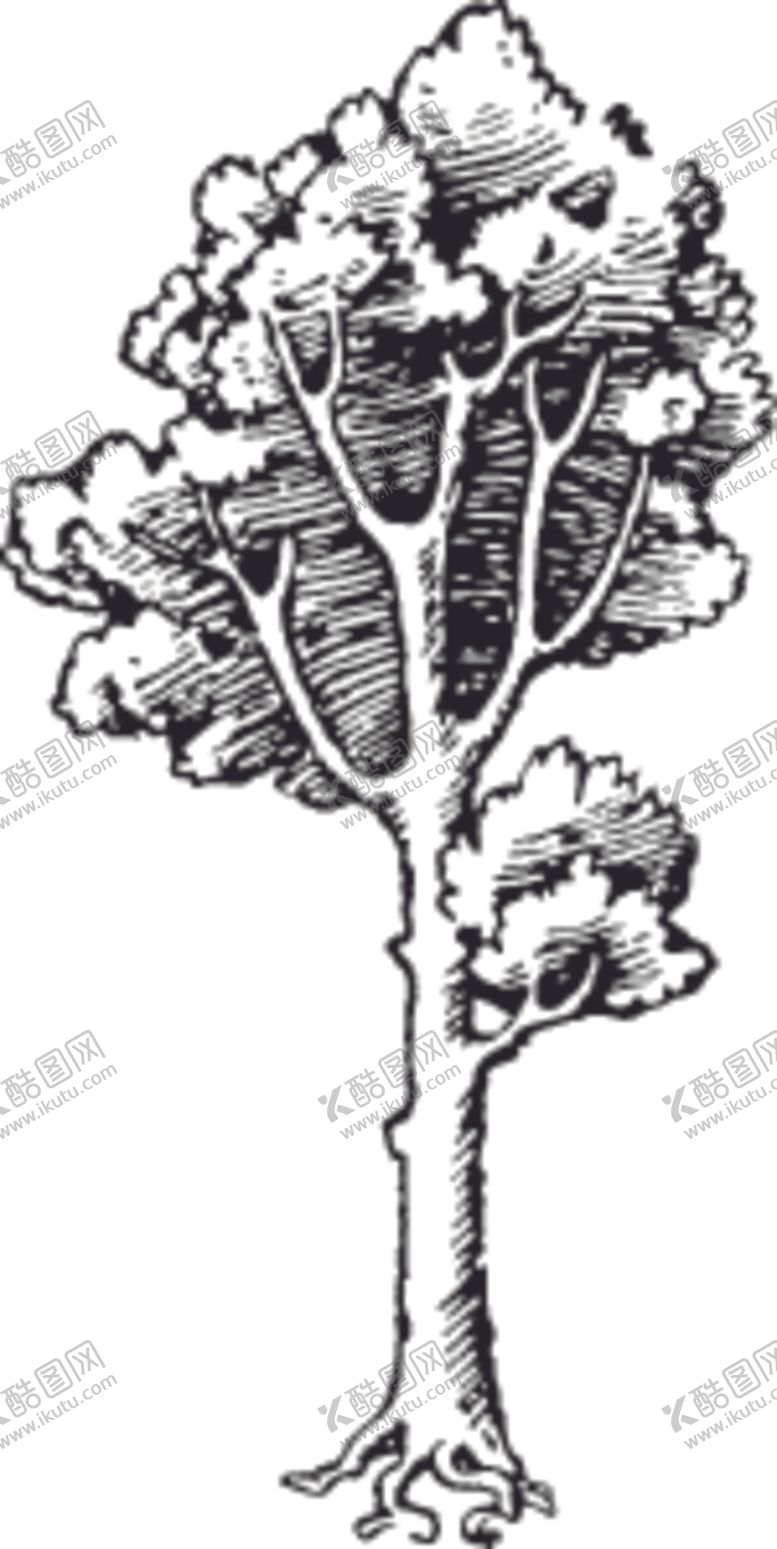 编号：79388907092115012754【酷图网】源文件下载-植物系列树木
