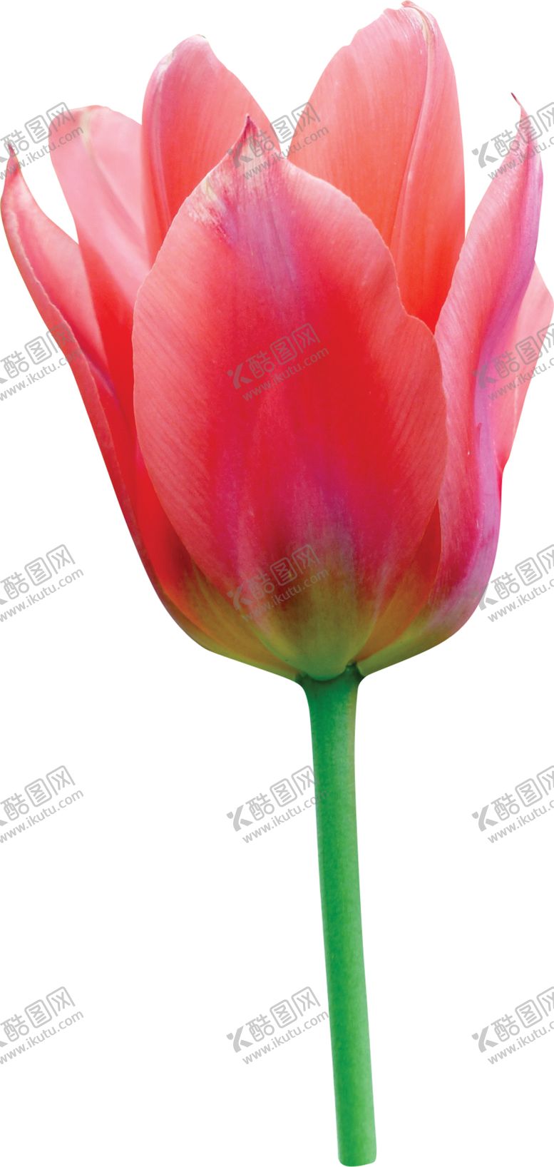 编号：32636209252015494514【酷图网】源文件下载-欧式复古花朵装饰