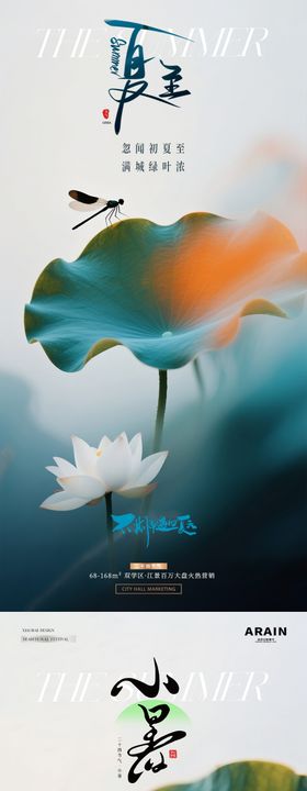 地产夏至入伏小暑清新荷花海报