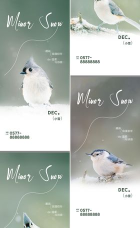 小雪海报