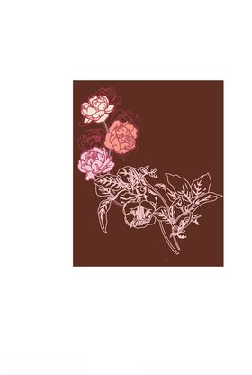 花卉组合
