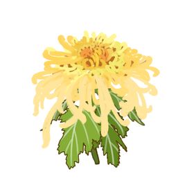 重阳节素材
