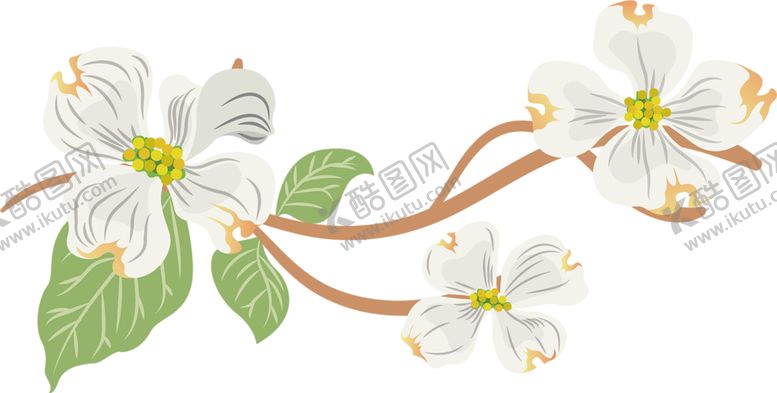 编号：21353005150028264366【酷图网】源文件下载-鲜花素材