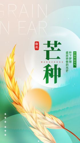 芒种海报24节气稻穗