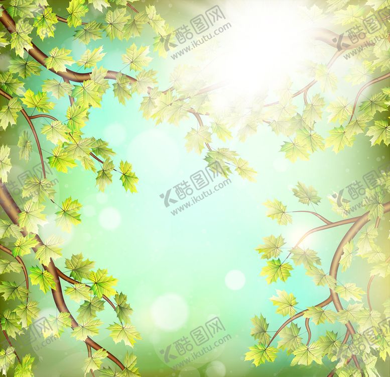 编号：45633509220614477417【酷图网】源文件下载-树叶背景