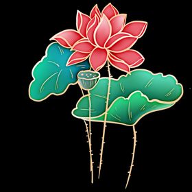 荷花分层