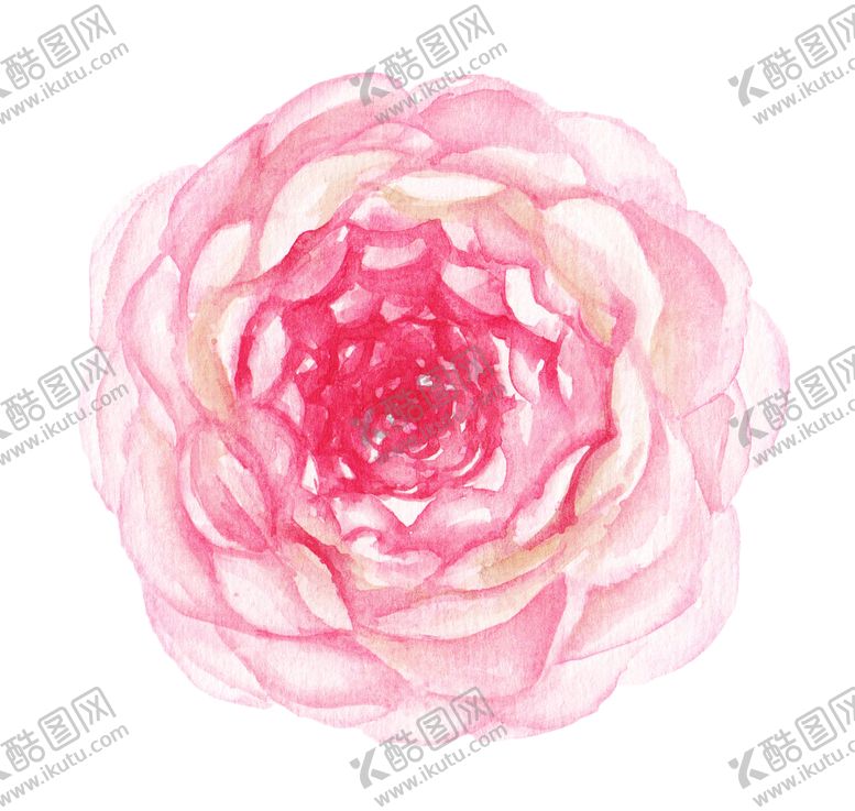 编号：48903405110417363537【酷图网】源文件下载-水彩手绘花卉花朵植物