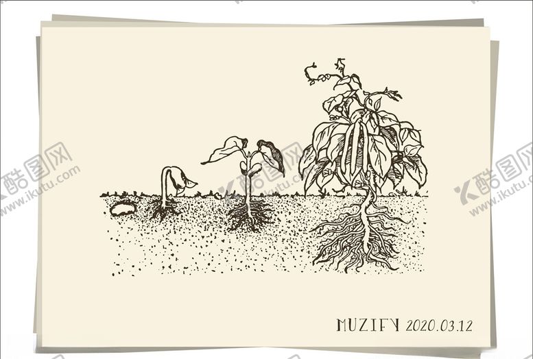 编号：42133209180827144226【酷图网】源文件下载-植物生长手绘稿