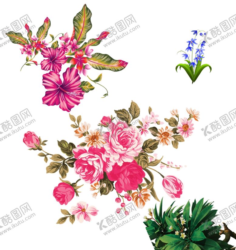 编号：17724805091657283056【酷图网】源文件下载-花朵