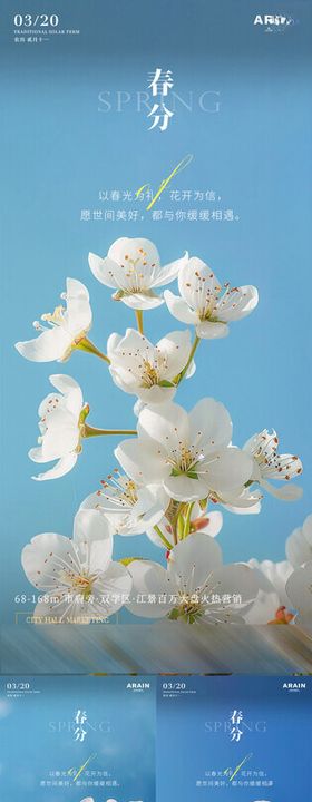 春分梨花开地产系列海报