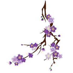 花卉情人节樱背景草樱盛开