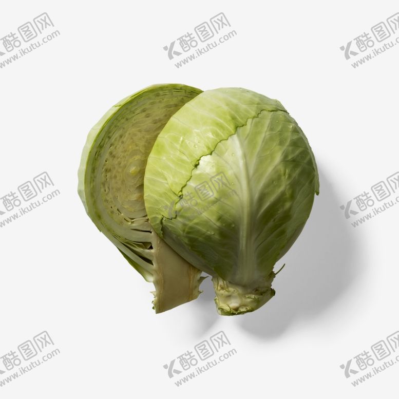编号：64118402201556255176【酷图网】源文件下载-包菜叶